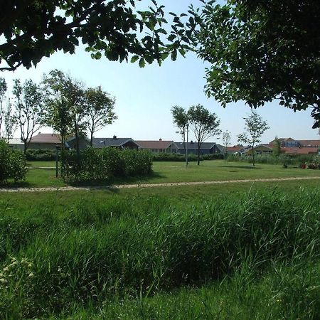 Willa Friedrichskoog-Deichblick 1 Zewnętrze zdjęcie